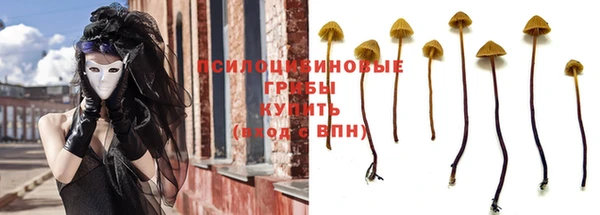 a pvp Аркадак