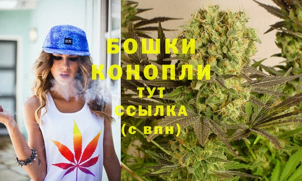a pvp Аркадак