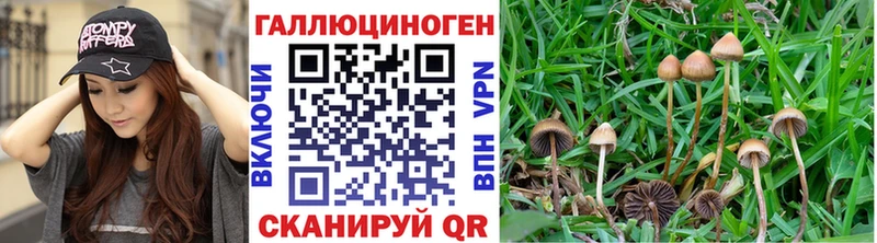 Галлюциногенные грибы ЛСД Ухта